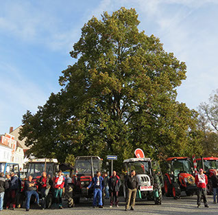 Prague Car Festival