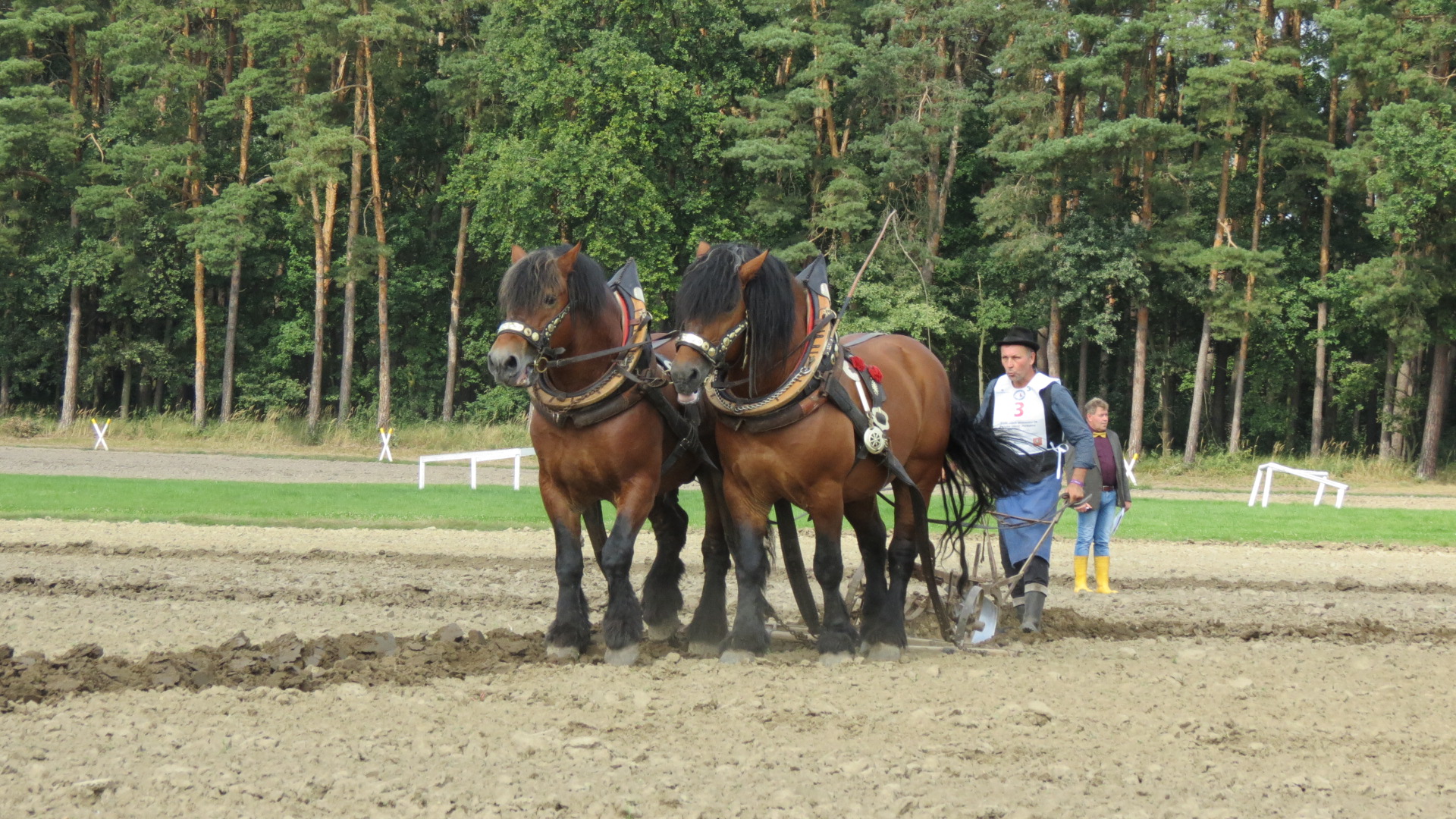 18. ročník Mistrovství republiky v orbě koňmi